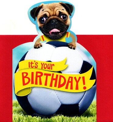 Funny Happy Birthday Pug Fetch Let's Play Throw The Ball Hallmark Greeting Card