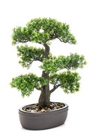 KüNstlicher Ficus Bonsai Im Keramik Topf H. 43Cm GrüN Emerald Zimmerpflanze