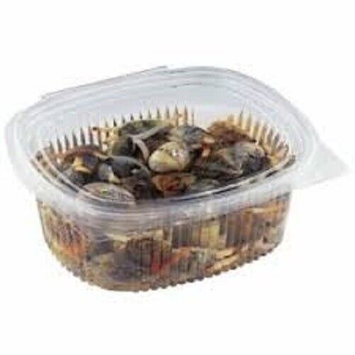100 Vaschette per Alimenti 250cc Ovali Trasparenti PET Plastica Insalata ovali - Imagen 1 de 2