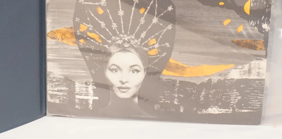 Lot De LPs Disques Singles Vinyles Classiques Dans Un Classeur Mid Century - Photo 3/4