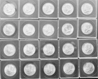 Lot of 20 Kennedy Half Dollar Coins 90% Silver 1964 P
