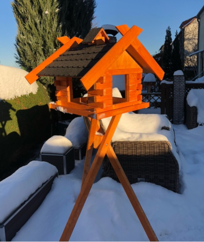 Bild 5 von 9