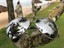 thumbnail 14 -  MIRROR "SILVER STAR" OVERSIZED Women Sunglasses Aviator Shadz GAFAS