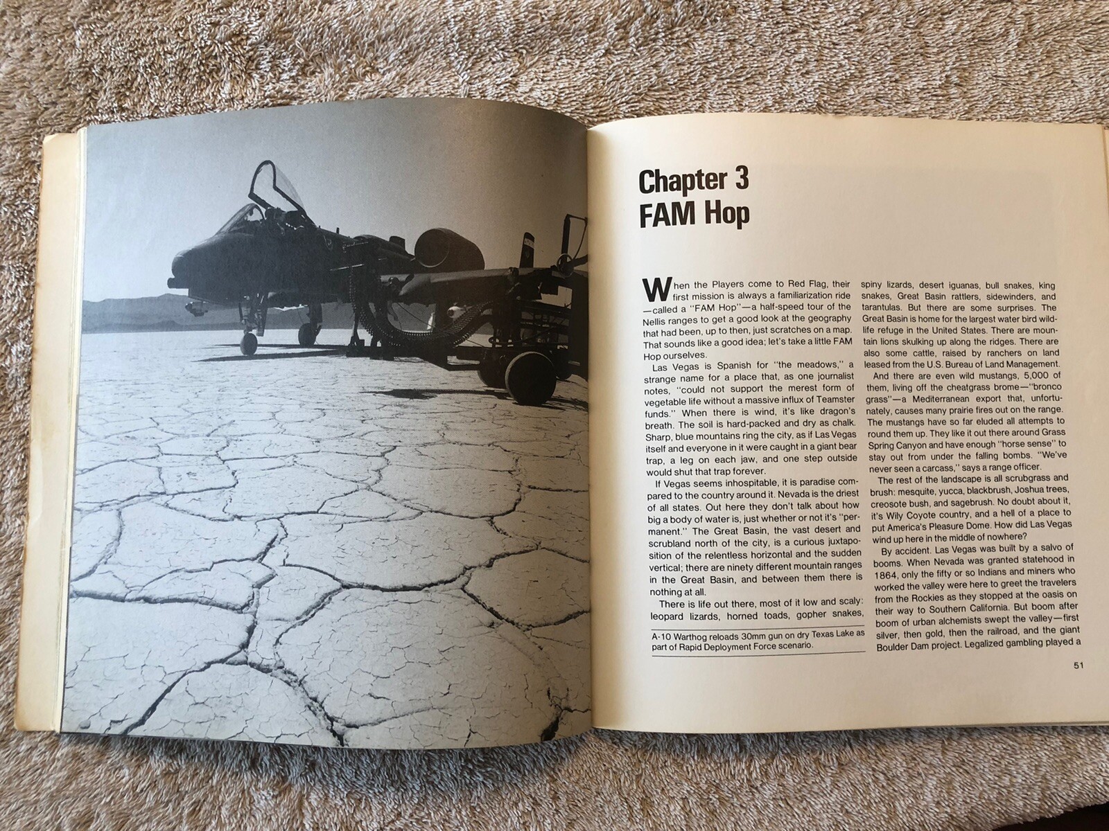 Picture 6 of 10