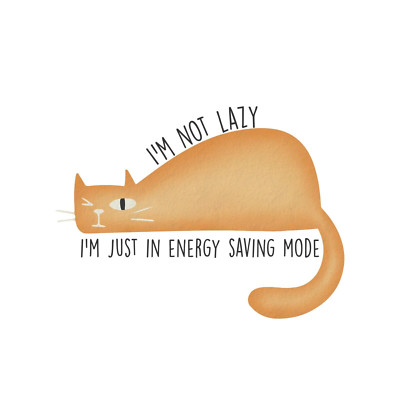 Im Not Lazy Cat Sticker Decal