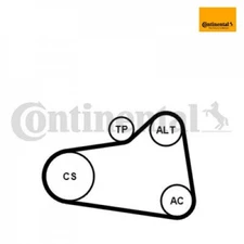 V-ribbed belt kit Continental CTAM 6PK905EXTRAK1 for Mini