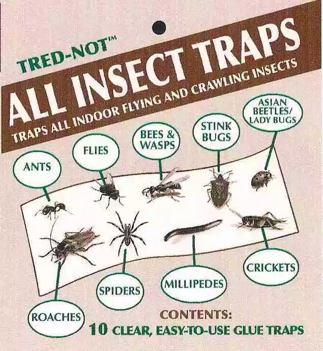 200 pk ALL INSECT TRAPS. Fly, Spider, Roach, Cricket, etc (20pks of 10)