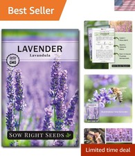 English Lavender Seeds for Planting - Non-GMO Heirloom Packet with Instructio...