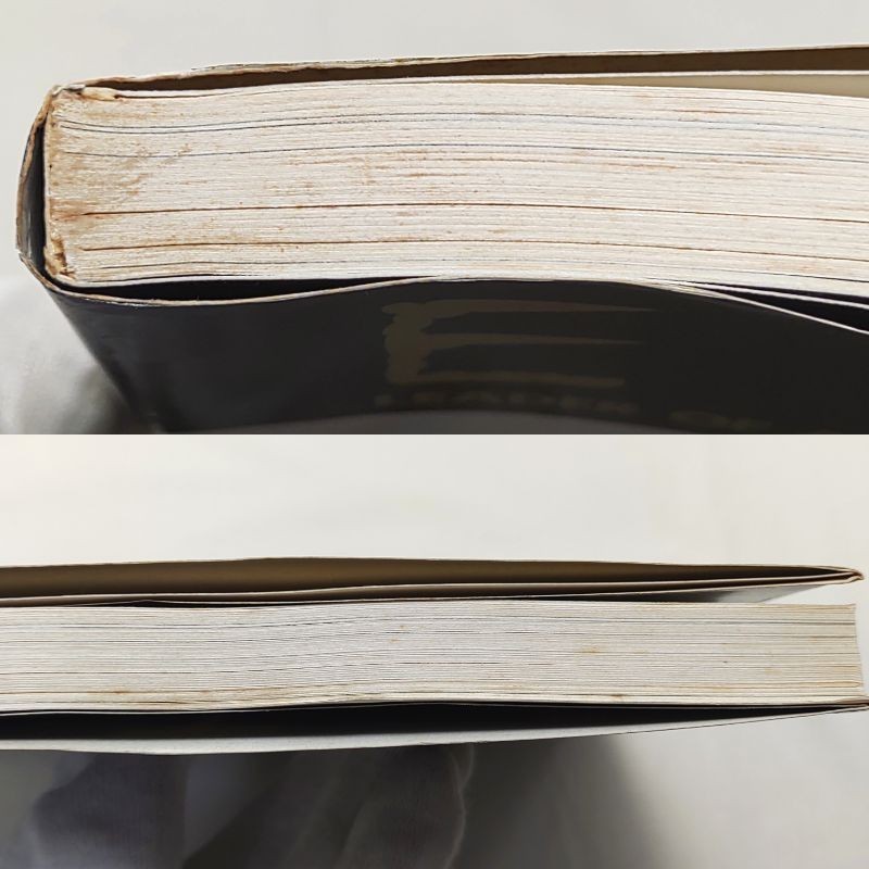 OOP Japanese Erte Art Deco Book Leader of Art Deco His Trail Through the Century