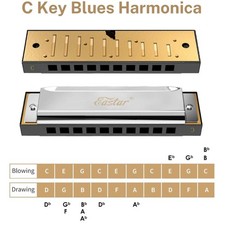 Major Blues Harmonica - 7-Pack, Hard Case, Cleaning Cloth