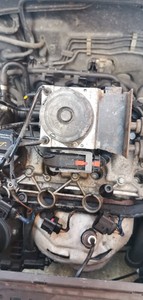 polo 6n9
