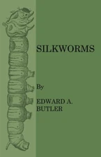 Silkworms