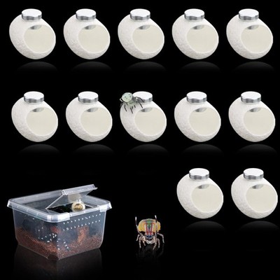 DQITJ 12 Pcs Silk Cocoons with Magnets for Jumping Spider Cocoon White 