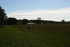 Photo 6x4 Ickworth Park: view down the side of Lady Hervey's Wood Horring c2015