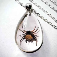 Spider Necklace, Spiny Orb Weaver, Real Insect Jewelry, Oddities, Gasteracantha