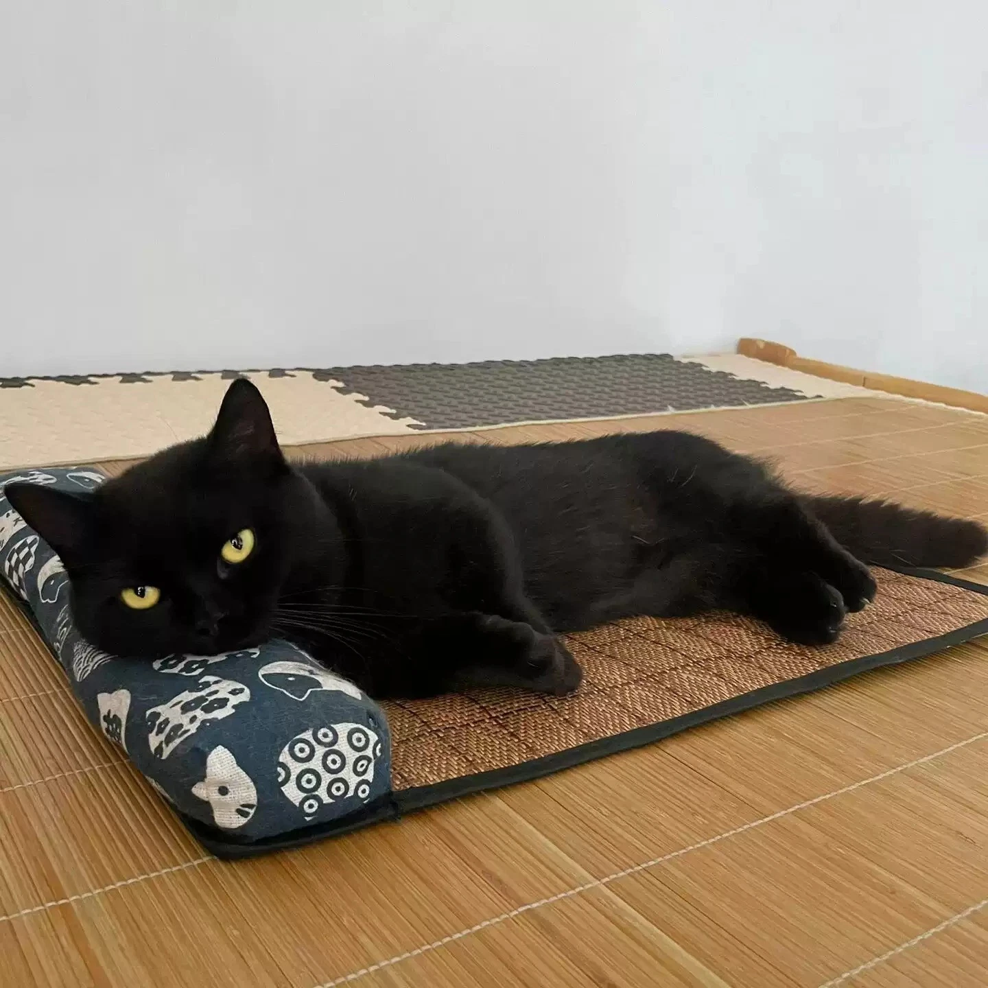 Cat Natural Cooling Mat Summer Pet Self Cooling Pad Cat Bed Mat Dogs Indoor