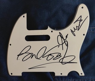signed sex pistols guitar scratchplate