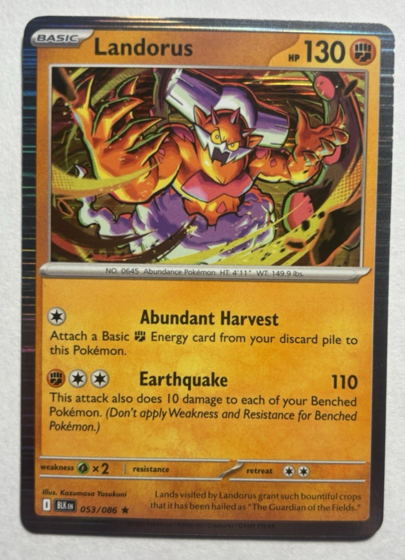 Landorus 053/086 Black Bolt Pokémon TCG Rare Holo NM