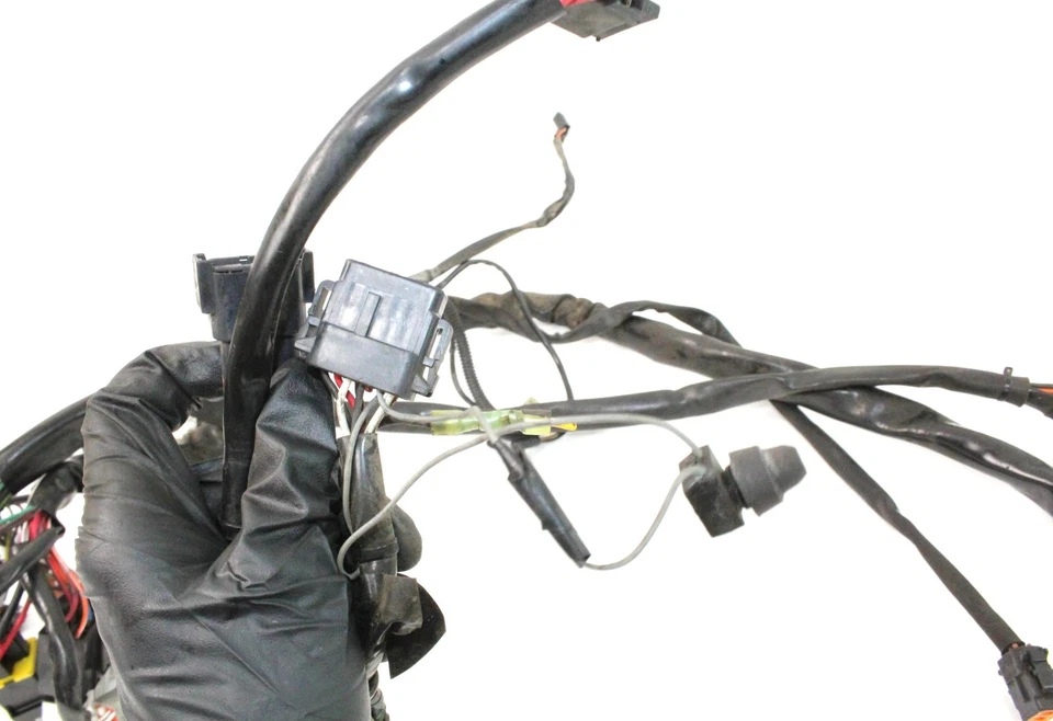 Harley Dyna Wide Glide 1999 99 FXDWG arnés de cable principal telar 69631-98 Foto 4 de 4