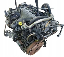 Motor Ford Galaxy I Focus C Max Kuga G6DG 2.0 TDCI 140PS 100kW Diesel Komplett