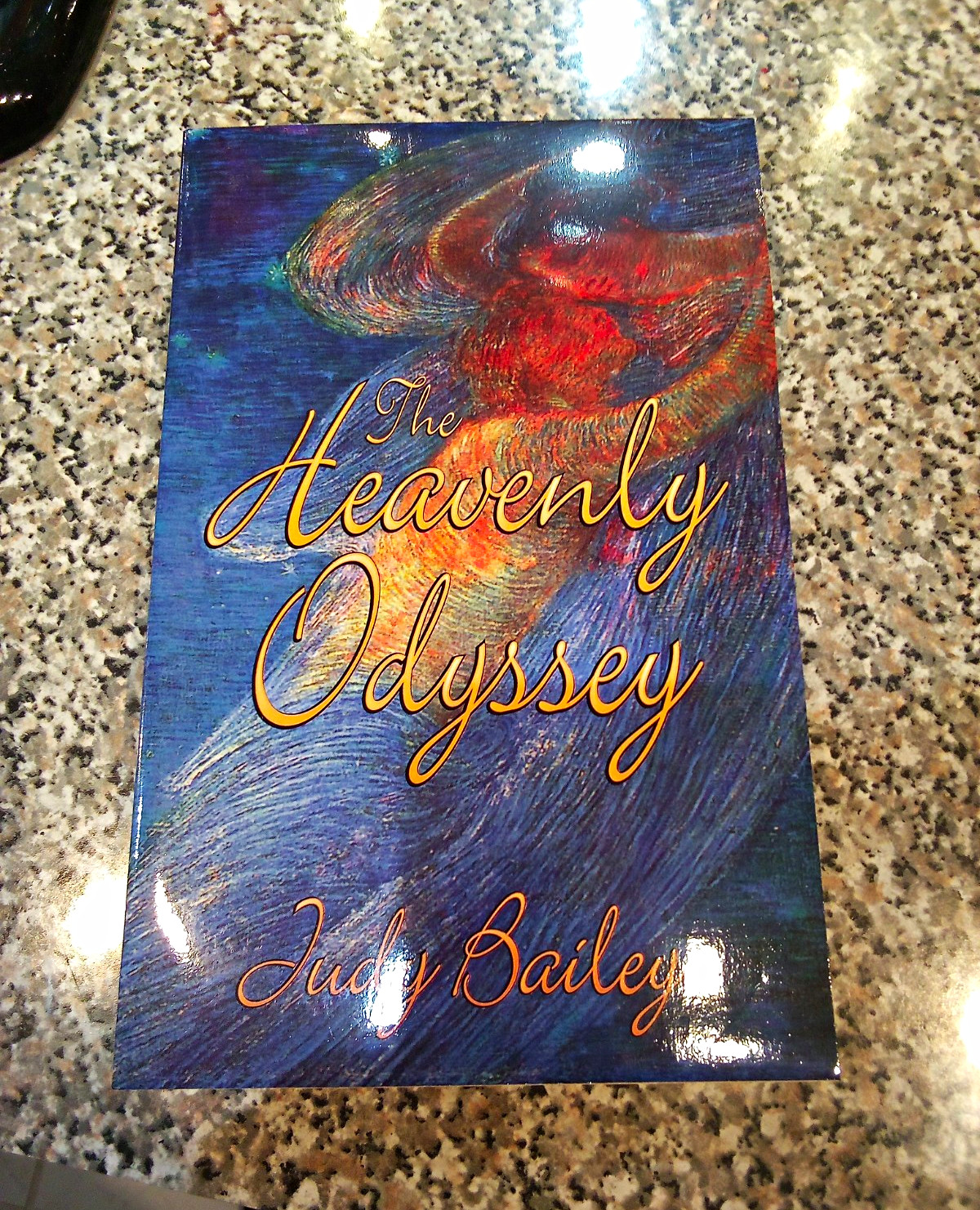 The Heavenly Odyssey - Judy Bailey (2000) Trade PB Religious Fiction