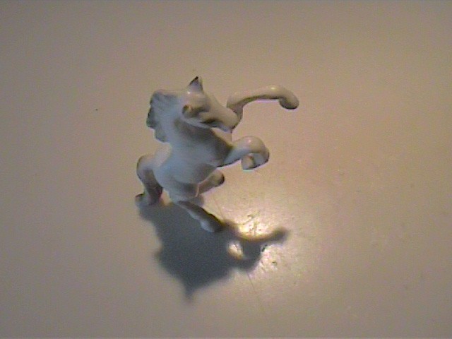 Picture 7 of 7