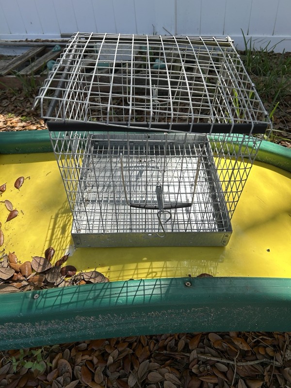Small Animal Metal Carrier Cage – Travel Cage – Good Used Condition