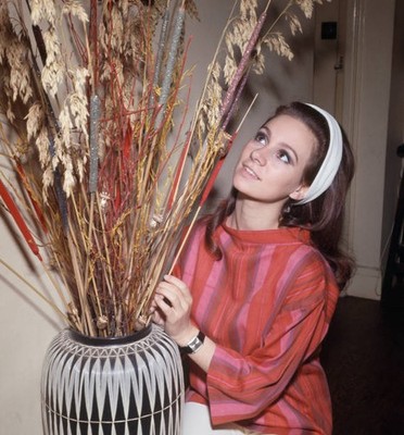 Actress Francesca Annis Photographed London England September 1965 Old Photo 1