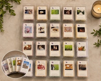 Lot of 20 Mixed Wax Melts Cubes from Jewelry Candle Co - NO JEWELRY   WAX MELTS
