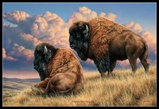 Prairie Monarchs - Bison - DIY Chart Counted Cross Stitch Patterns Needlework