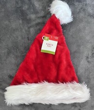 Adult Santa Hat