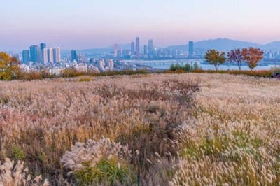 Wandbild: Sonnenuntergang-Luftaufnahme der Innenstadt von Seoul vom [...]