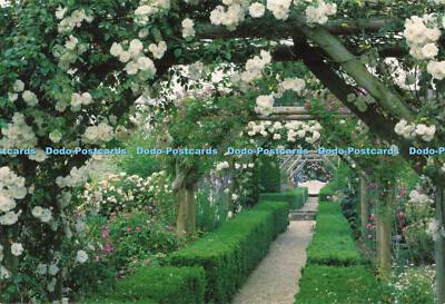 D188124 Hampshire. Mottisfont. Arches of Rose Adelaide d Orleans und Rosenschleier