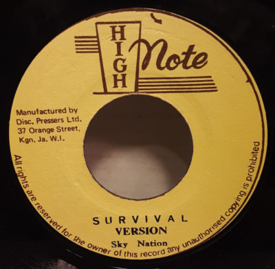 MARCiA GRiFFiTHS SURViVAL SKY NATiON VERSiON 7'' ViNYL IMPORT 45 HiGH NOTE LABEL