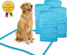 Petfamily Super-Absorbent 24 by 24 Inches Dog Training Pads - 100 Count of