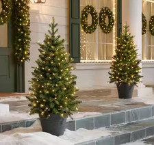 3 ft SMART Grand Duchess Balsam Fir LED Pre-Lit Trees - Set of 2
