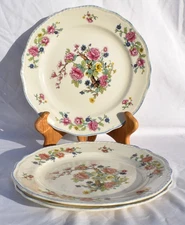 Steubenville - INDIA TREE - (3) 9 3/4" DINNER PLATES