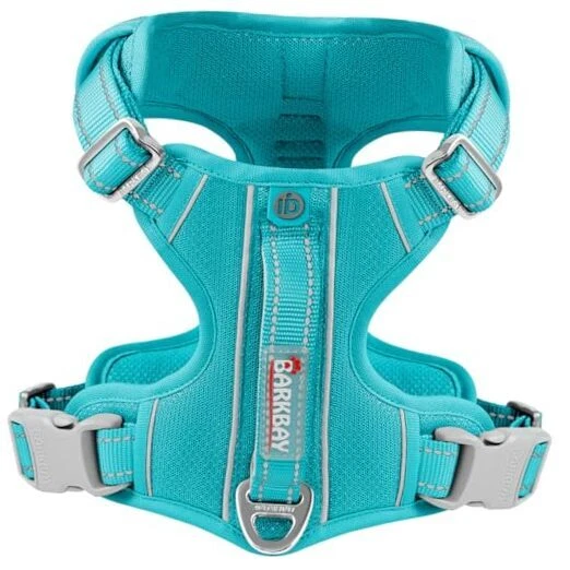 Dog Harness No Pull with ID Tag Pocket - Heavy Large(Chest:27-32") Ocean Blue Dog Harness No Pull with ID Tag Pocket - Heavy Large(Chest:27-32") Ocean Blue