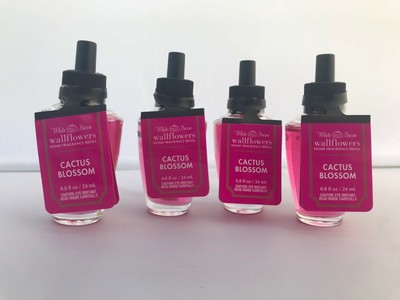 Cactus Blossom Wallflower 2025