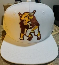 Texas Longhorns Hat