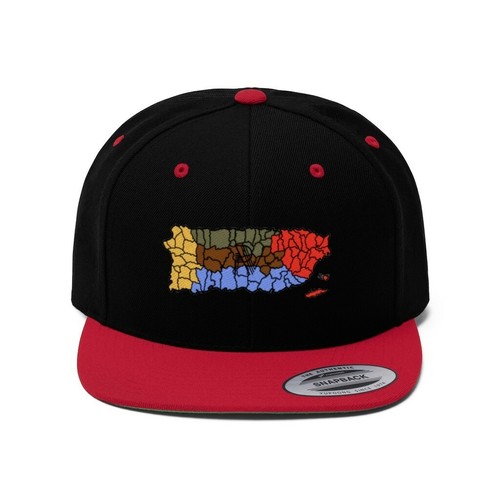 Casquette Snapback RV Brodée Drapeau Florida - Homme Multicolore