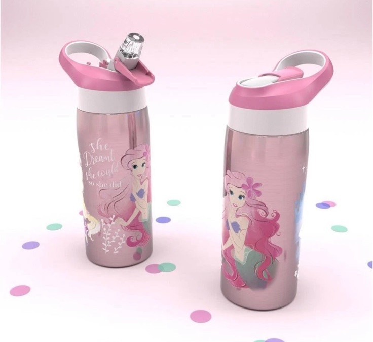 19oz Stainless Steel Double Wall Water Bottle - Zak Designs New
