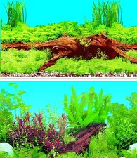 Aquarium Fish Tank Background 2 Sides - 60cm High 2 to 6 FT Lengths