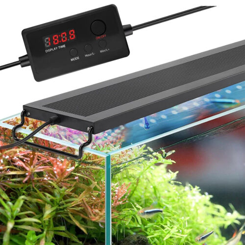 Universal LED Licht Timer Dimmer Controller für Aquarium Aquarium Licht 12V~36V - Bild 3 von 8