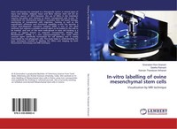 Gnanadevi Ravi Gnanam (U. A.) | In-Vitro Labelling Of Ovine Mesenchymal Stem...