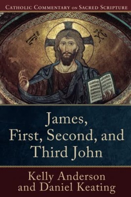 JAMES FIRST SECOND THIRD JOHN by Kelly Anderson Paperback Self Help Business