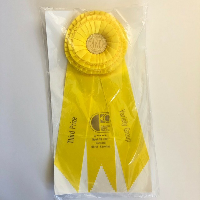 AKC Dog Show Ribbon Third Prize Columbia Kennel Club NC Yellow Rosette akc-dog-show-ribbon-third-prize-columbia-kennel-club-nc-yellow-rosette