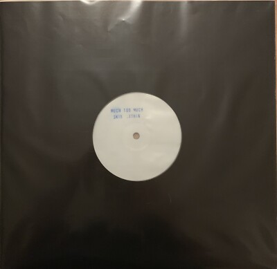 Skin Within - Much Too Much, 12'' Vinyl House VG