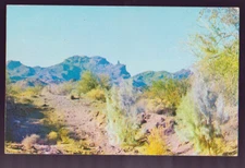 COLORADO CO 1958 Finger Rock Indian Reservation Colorado River Postcard