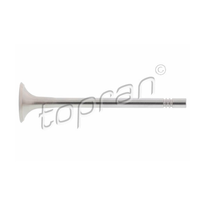 Soupape d'échappement thermique anti-corrosion pour bloc moteur Audi et Seat Ibiza IV